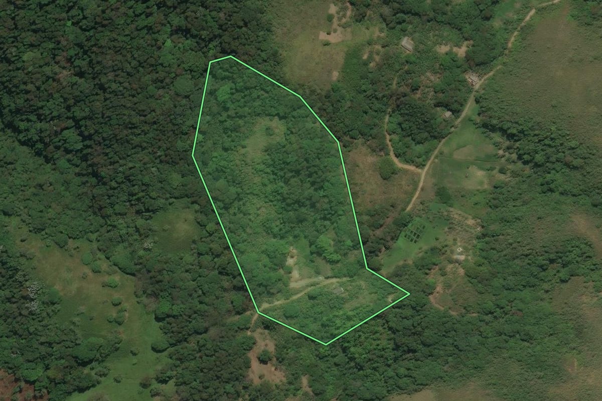 Imagem de satélite do imóvel rural em Cachoeiras de Macacu (RJ), com o contorno declarado no CAR desenhado por cima.