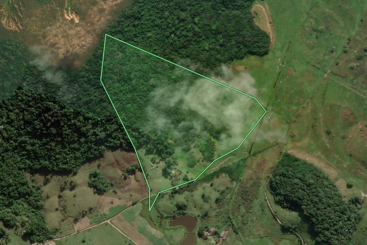 Imagem de satélite do imóvel rural em Cachoeiras de Macacu (RJ), com o contorno declarado no CAR desenhado por cima.