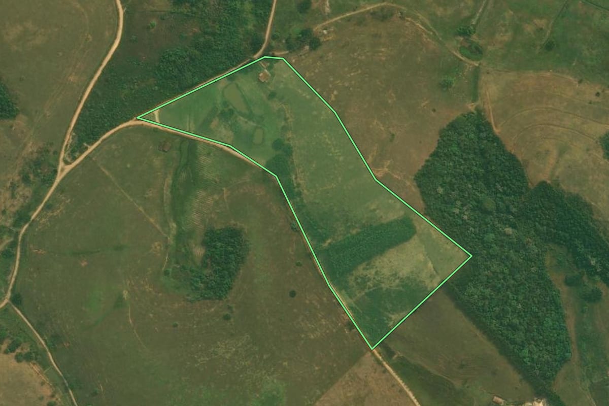 Imagem de satélite do imóvel rural em Cachoeiras de Macacu (RJ), com o contorno declarado no CAR desenhado por cima.