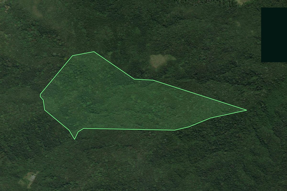 Imagem de satélite do imóvel rural em Cachoeiras de Macacu (RJ), com o contorno declarado no CAR desenhado por cima.