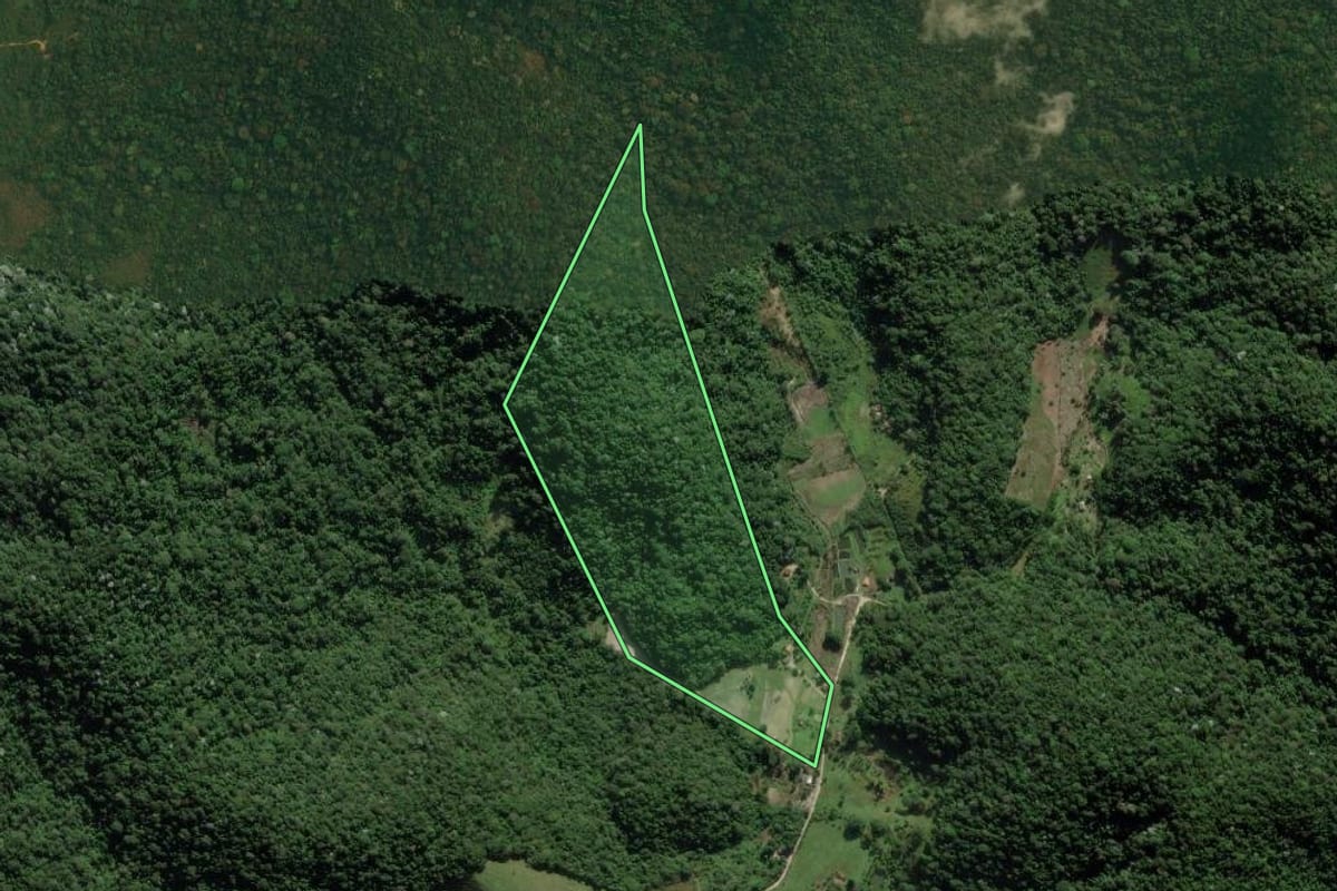 Imagem de satélite do imóvel rural em Cachoeiras de Macacu (RJ), com o contorno declarado no CAR desenhado por cima.