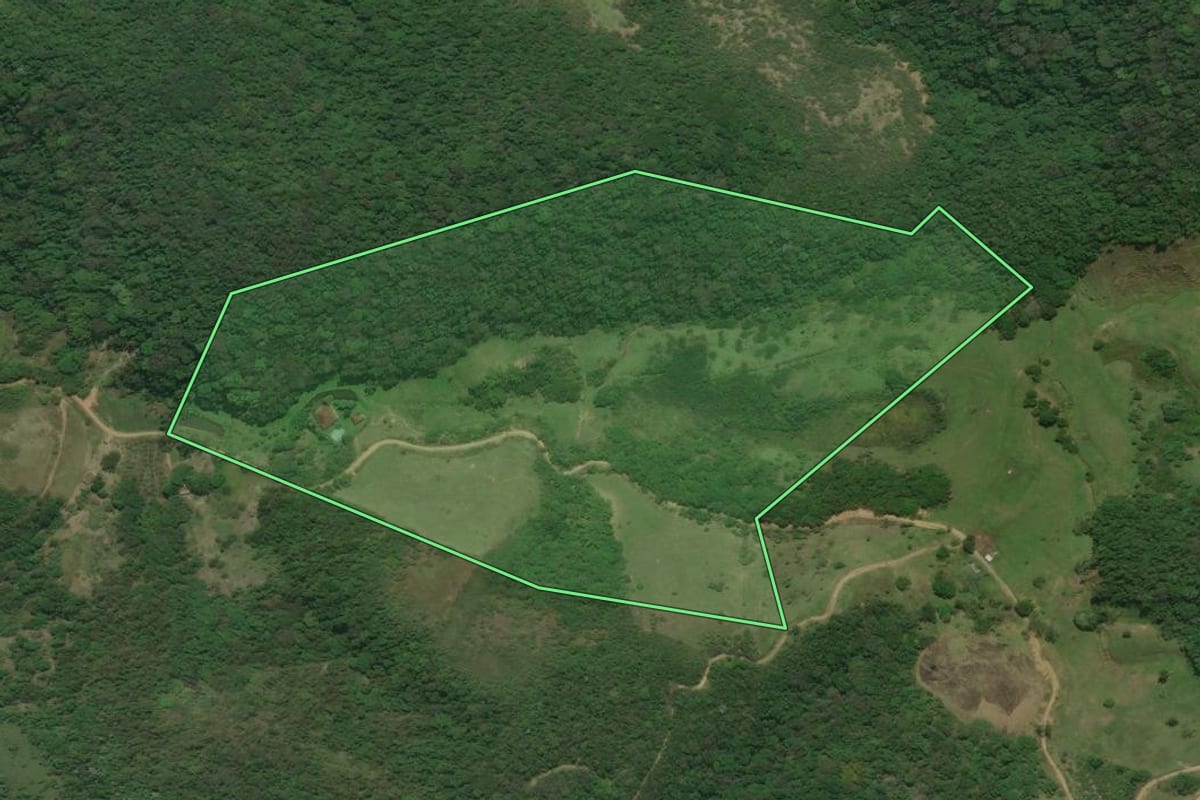 Imagem de satélite do imóvel rural em Cachoeiras de Macacu (RJ), com o contorno declarado no CAR desenhado por cima.