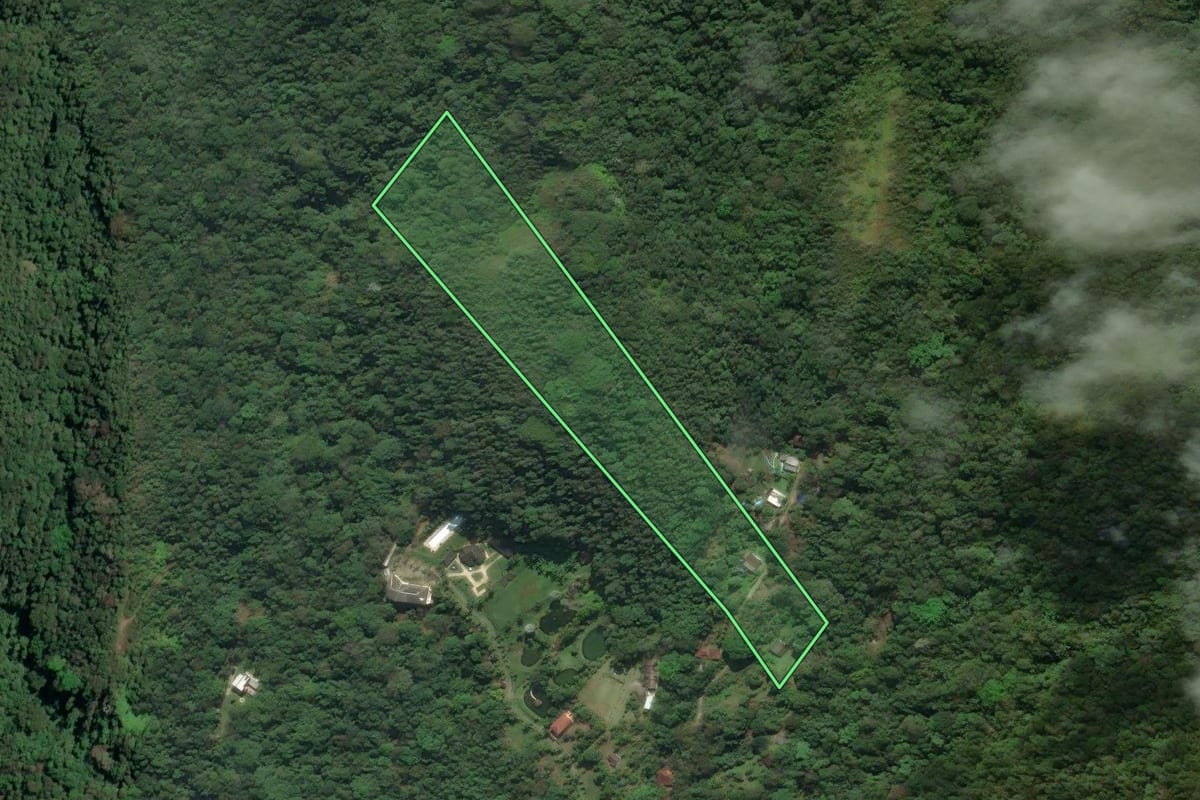 Imagem de satélite do imóvel rural em Cachoeiras de Macacu (RJ), com o contorno declarado no CAR desenhado por cima.