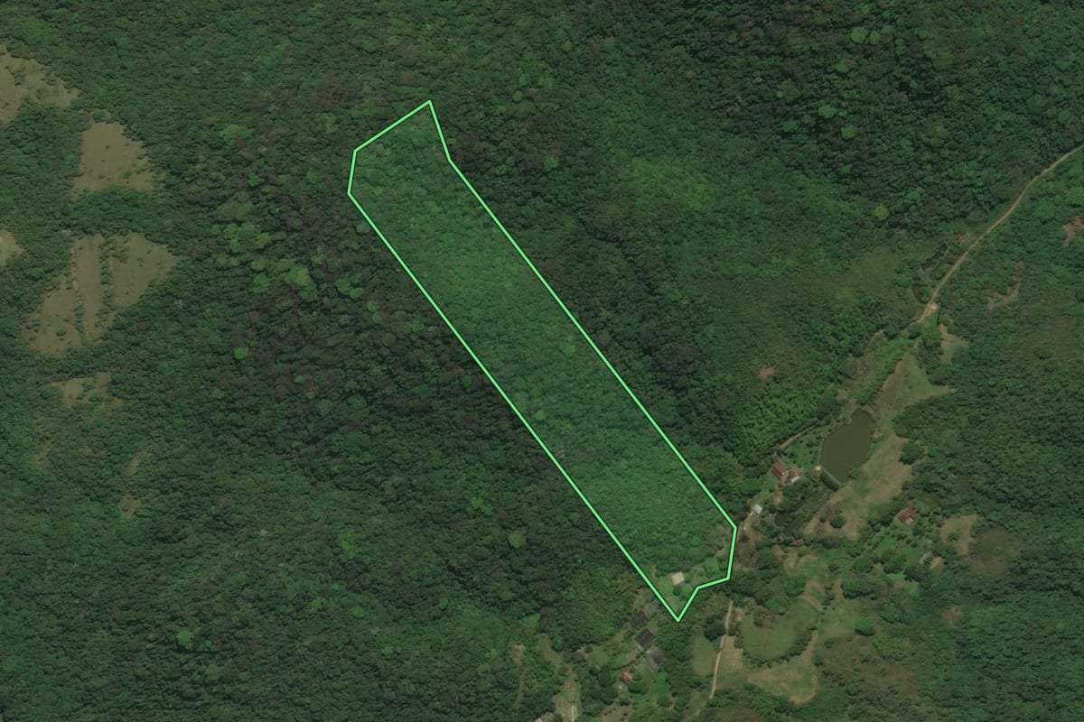 Imagem de satélite do imóvel rural em Cachoeiras de Macacu (RJ), com o contorno declarado no CAR desenhado por cima.