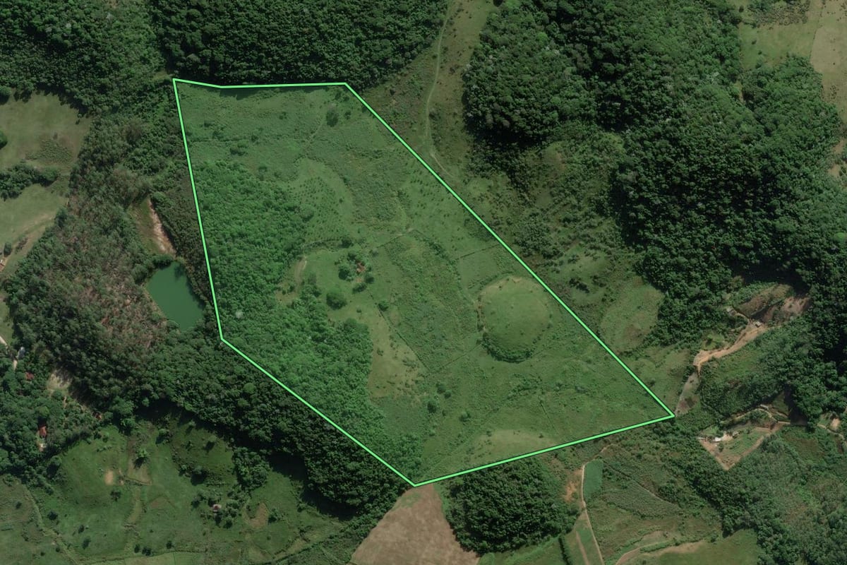 Imagem de satélite do imóvel rural em Cachoeiras de Macacu (RJ), com o contorno declarado no CAR desenhado por cima.