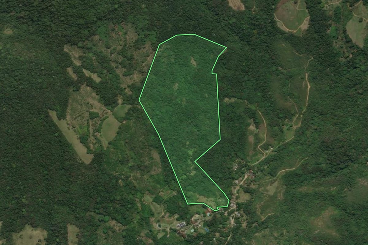 Imagem de satélite do imóvel rural em Cachoeiras de Macacu (RJ), com o contorno declarado no CAR desenhado por cima.