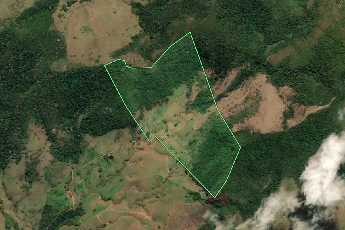 Imagem de satélite do imóvel rural em Cambuci (RJ), com o contorno declarado no CAR desenhado por cima.
