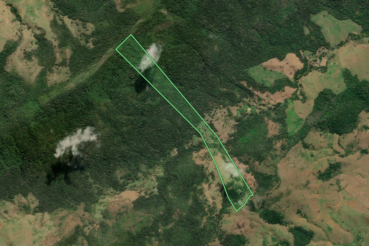 Imagem de satélite do imóvel rural em Cambuci (RJ), com o contorno declarado no CAR desenhado por cima.