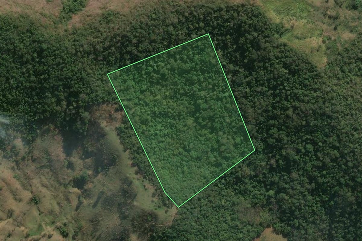 Imagem de satélite do imóvel rural em Cambuci (RJ), com o contorno declarado no CAR desenhado por cima.
