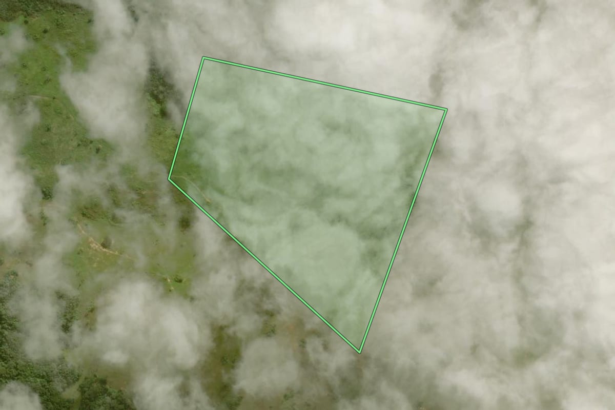 Imagem de satélite do imóvel rural em Carapebus (RJ), com o contorno declarado no CAR desenhado por cima.