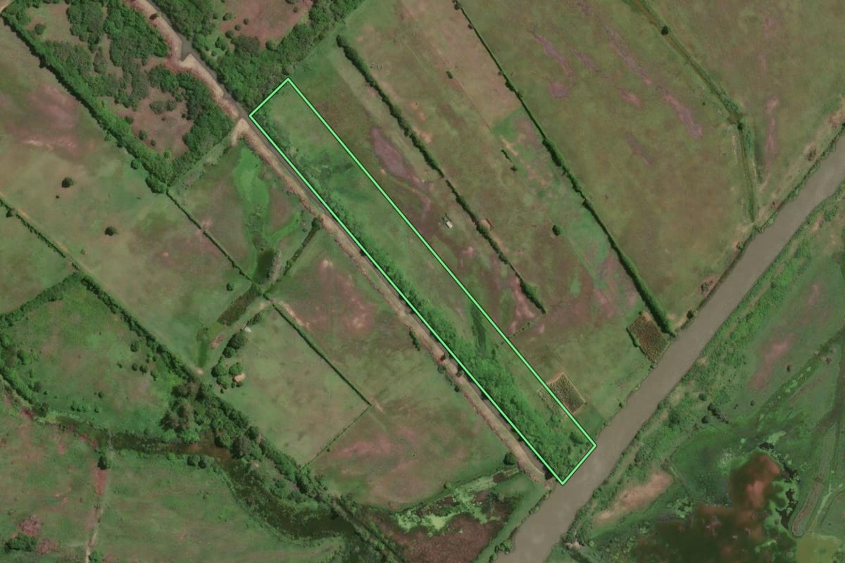 Imagem de satélite do imóvel rural em Campos dos Goytacazes (RJ), com o contorno declarado no CAR desenhado por cima.