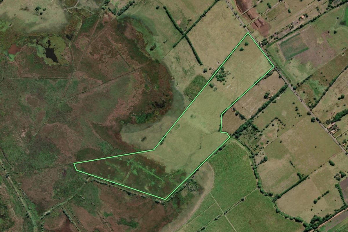 Imagem de satélite do imóvel rural em Campos dos Goytacazes (RJ), com o contorno declarado no CAR desenhado por cima.
