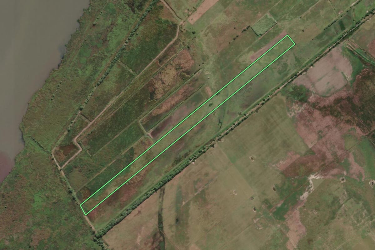 Imagem de satélite do imóvel rural em Campos dos Goytacazes (RJ), com o contorno declarado no CAR desenhado por cima.