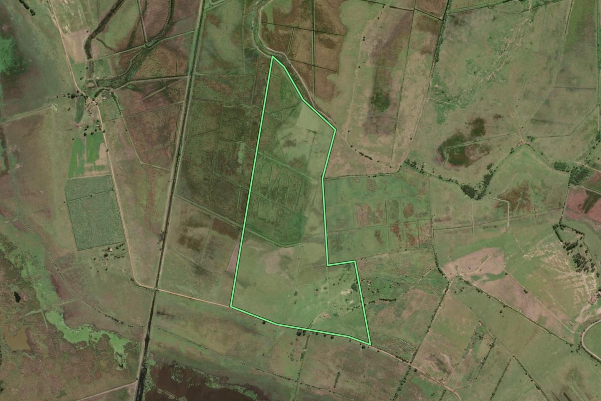 Imagem de satélite do imóvel rural em Campos dos Goytacazes (RJ), com o contorno declarado no CAR desenhado por cima.