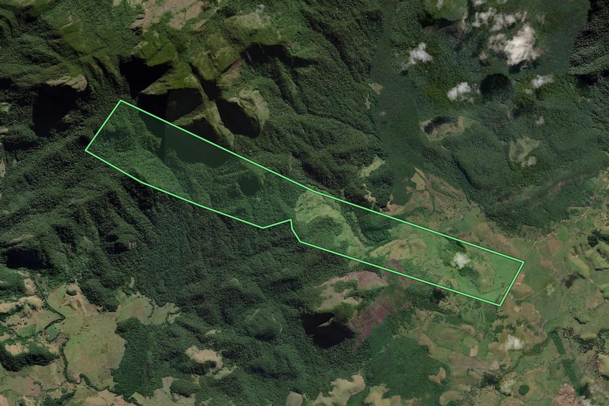Imagem de satélite do imóvel rural em Campos dos Goytacazes (RJ), com o contorno declarado no CAR desenhado por cima.