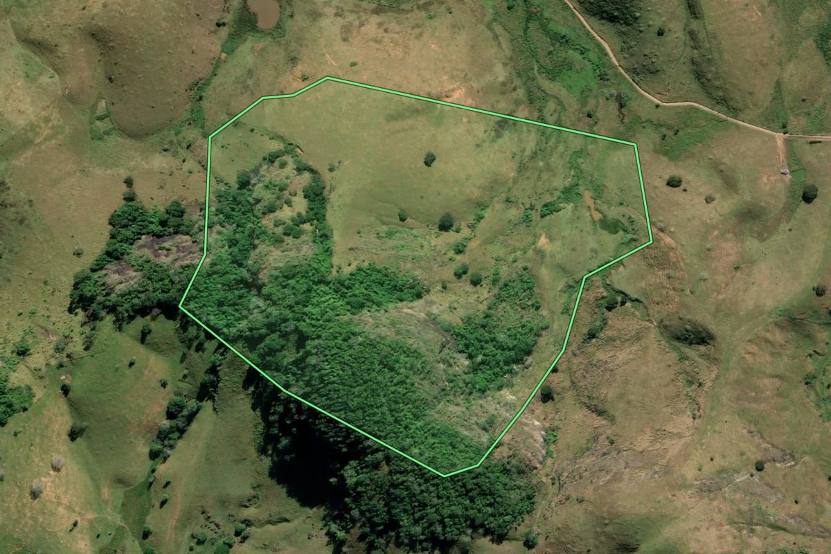 Imagem de satélite do imóvel rural em Campos dos Goytacazes (RJ), com o contorno declarado no CAR desenhado por cima.