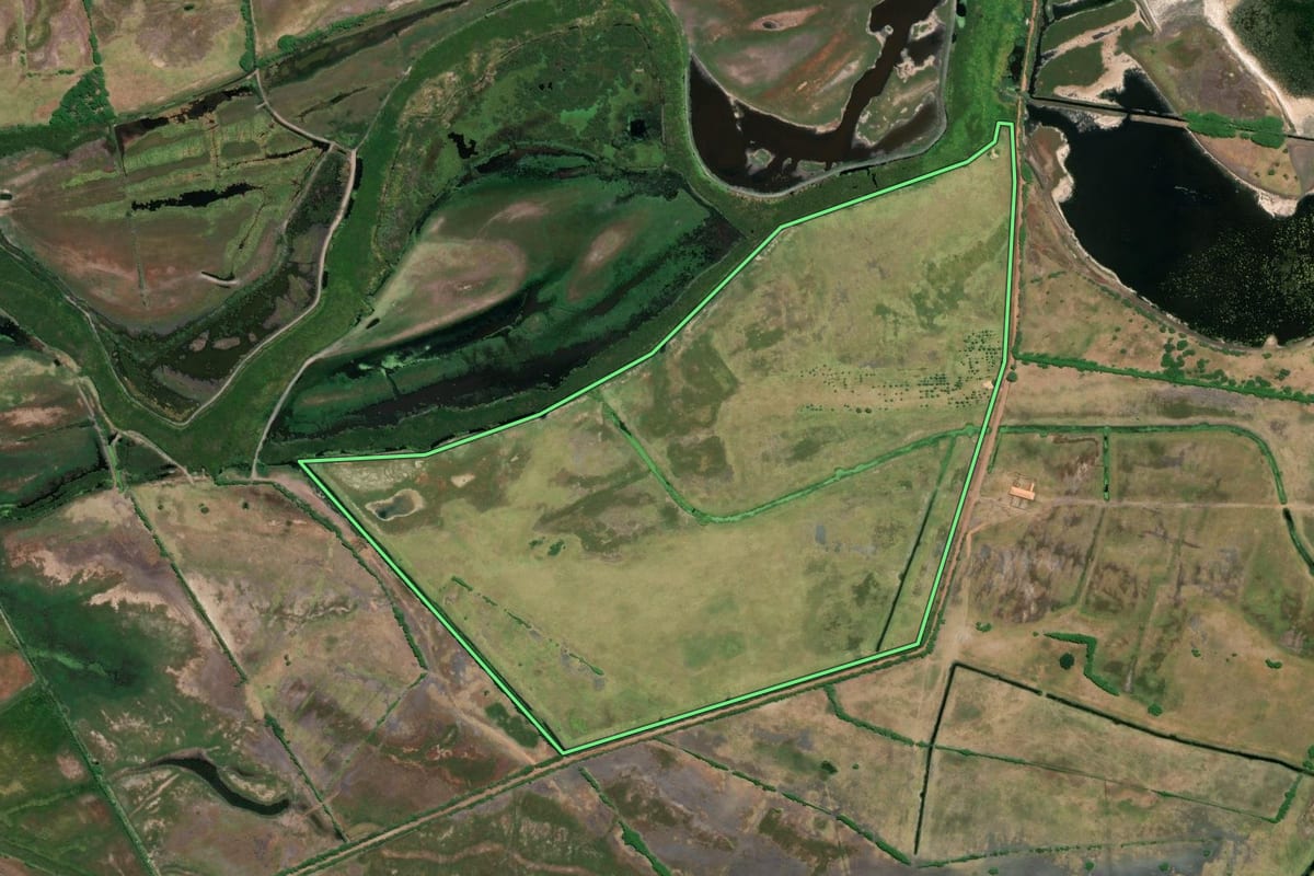 Imagem de satélite do imóvel rural em Campos dos Goytacazes (RJ), com o contorno declarado no CAR desenhado por cima.