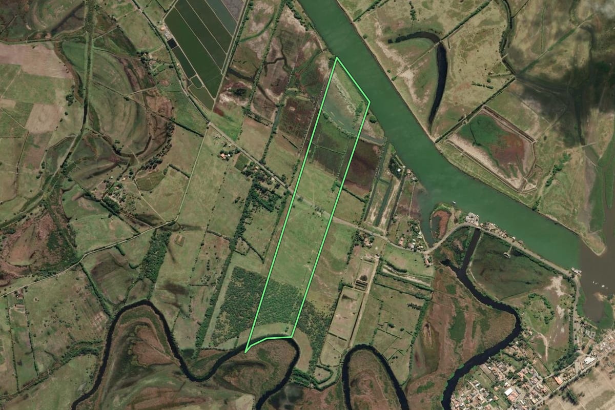 Imagem de satélite do imóvel rural em Campos dos Goytacazes (RJ), com o contorno declarado no CAR desenhado por cima.