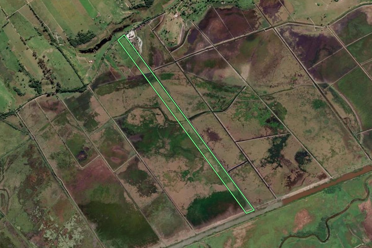 Imagem de satélite do imóvel rural em Campos dos Goytacazes (RJ), com o contorno declarado no CAR desenhado por cima.