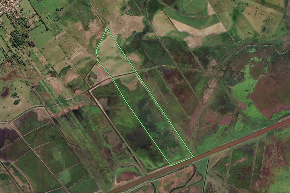 Imagem de satélite do imóvel rural em Campos dos Goytacazes (RJ), com o contorno declarado no CAR desenhado por cima.
