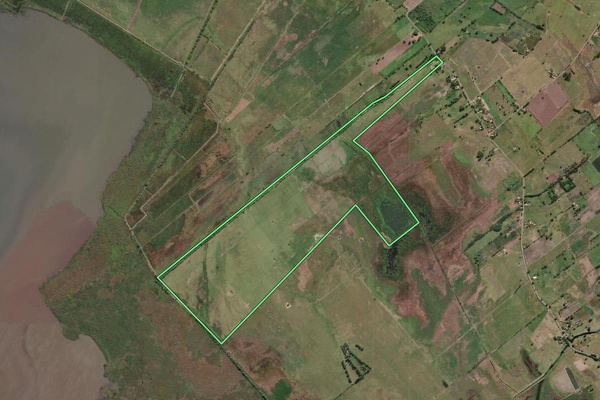 Imagem de satélite do imóvel rural em Campos dos Goytacazes (RJ), com o contorno declarado no CAR desenhado por cima.