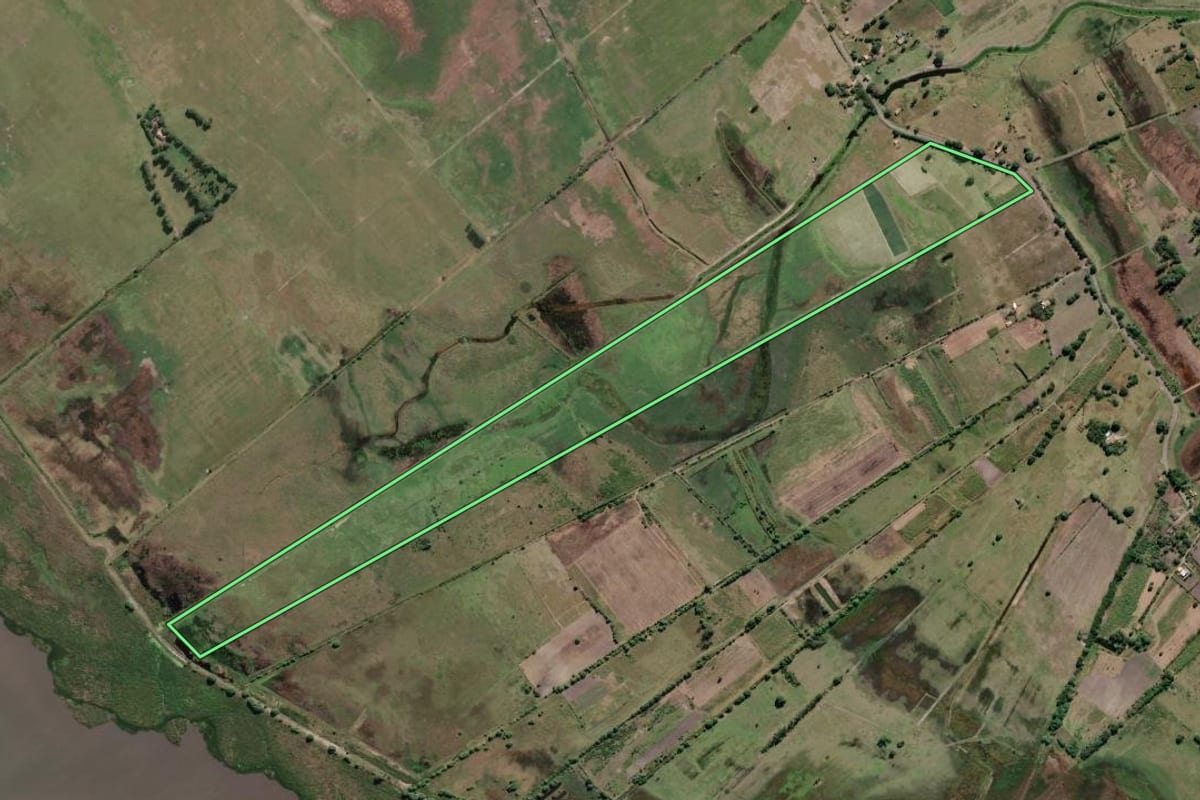 Imagem de satélite do imóvel rural em Campos dos Goytacazes (RJ), com o contorno declarado no CAR desenhado por cima.