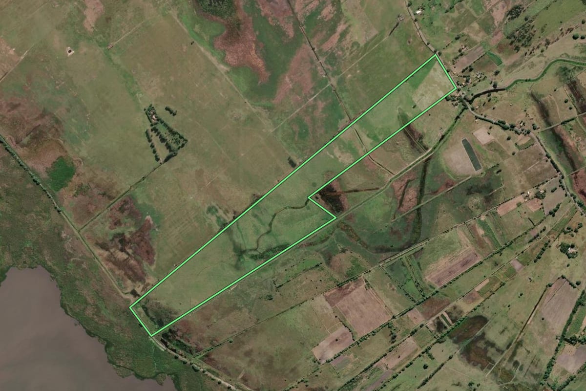 Imagem de satélite do imóvel rural em Campos dos Goytacazes (RJ), com o contorno declarado no CAR desenhado por cima.
