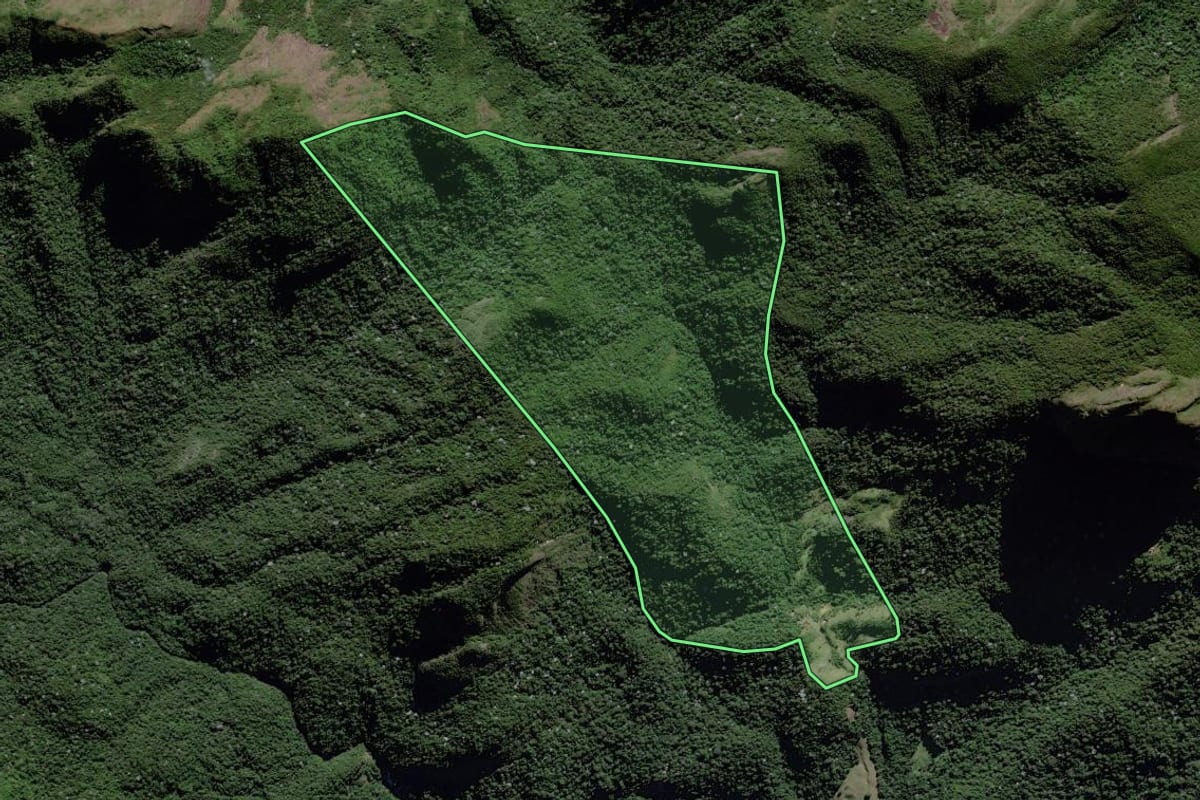 Imagem de satélite do imóvel rural em Campos dos Goytacazes (RJ), com o contorno declarado no CAR desenhado por cima.