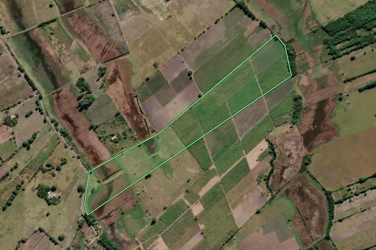 Imagem de satélite do imóvel rural em Campos dos Goytacazes (RJ), com o contorno declarado no CAR desenhado por cima.