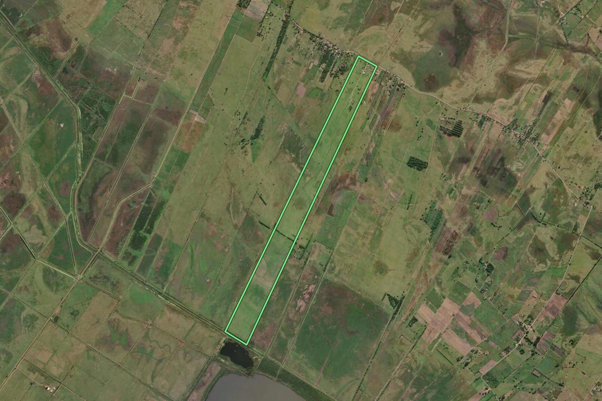 Imagem de satélite do imóvel rural em Campos dos Goytacazes (RJ), com o contorno declarado no CAR desenhado por cima.