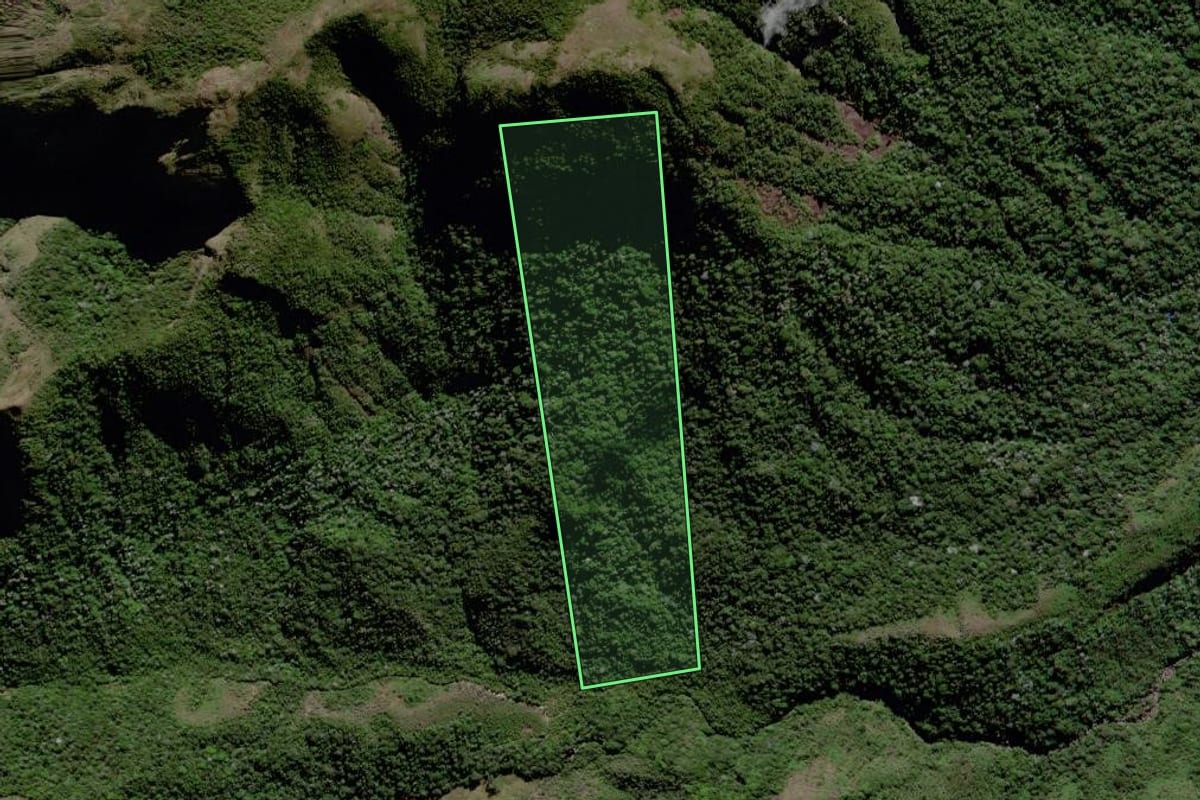 Imagem de satélite do imóvel rural em Campos dos Goytacazes (RJ), com o contorno declarado no CAR desenhado por cima.