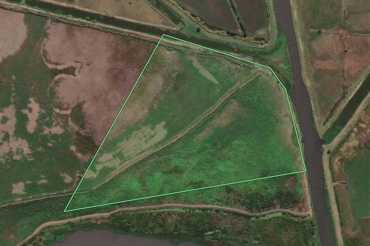 Imagem de satélite do imóvel rural em Campos dos Goytacazes (RJ), com o contorno declarado no CAR desenhado por cima.