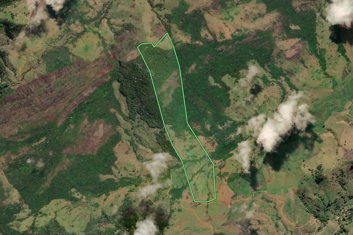 Imagem de satélite do imóvel rural em Campos dos Goytacazes (RJ), com o contorno declarado no CAR desenhado por cima.