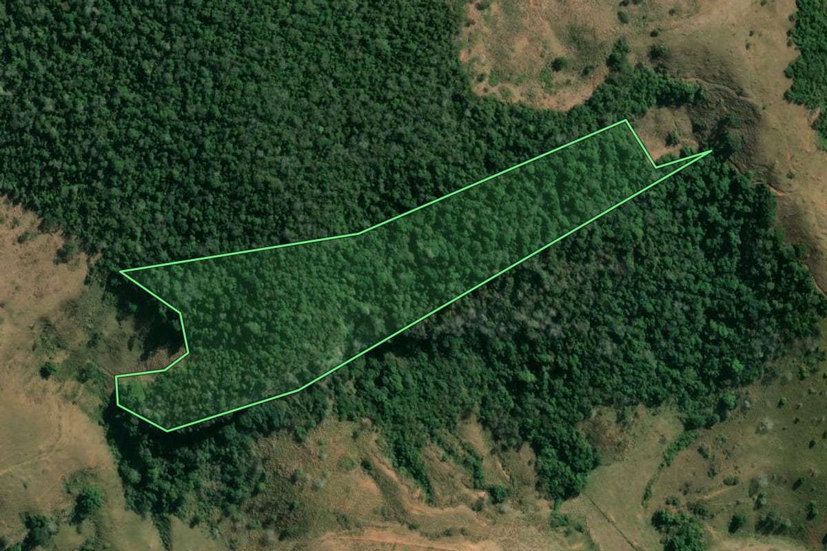 Imagem de satélite do imóvel rural em Campos dos Goytacazes (RJ), com o contorno declarado no CAR desenhado por cima.