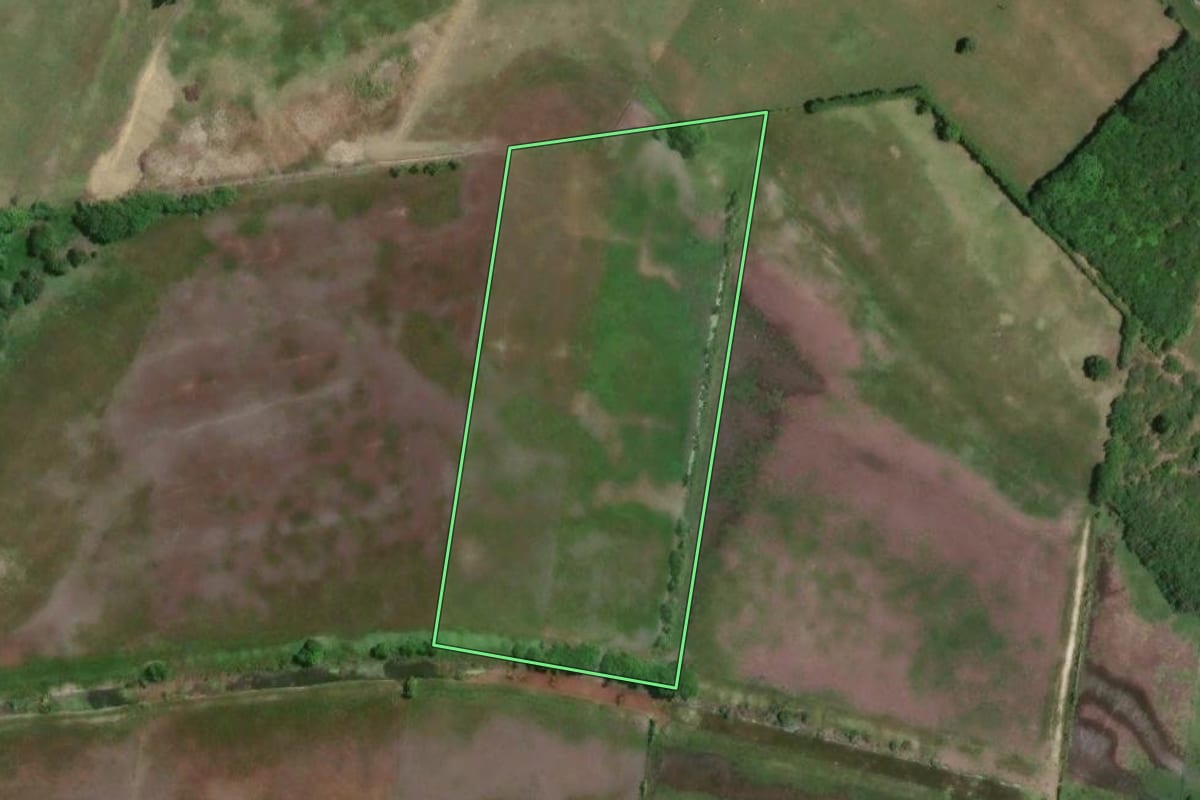 Imagem de satélite do imóvel rural em Campos dos Goytacazes (RJ), com o contorno declarado no CAR desenhado por cima.
