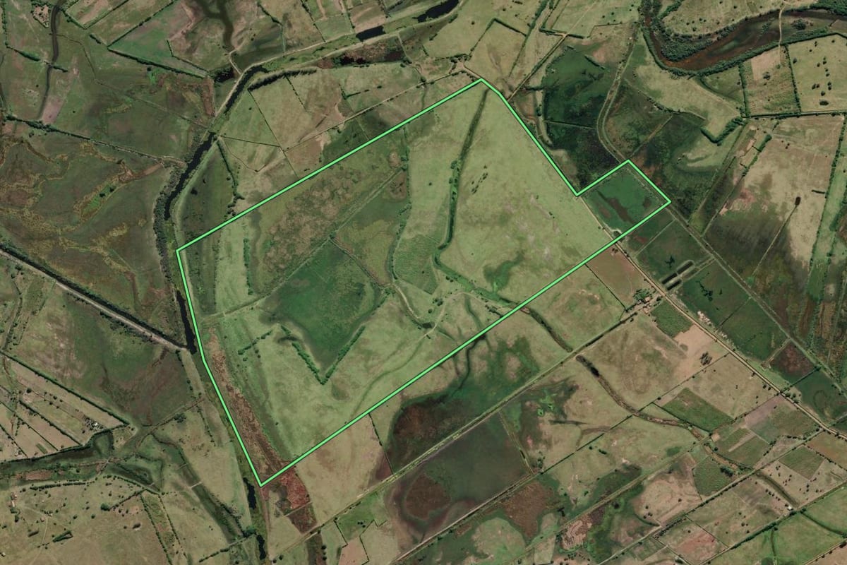 Imagem de satélite do imóvel rural em Campos dos Goytacazes (RJ), com o contorno declarado no CAR desenhado por cima.