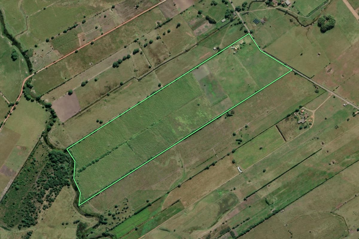 Imagem de satélite do imóvel rural em Campos dos Goytacazes (RJ), com o contorno declarado no CAR desenhado por cima.