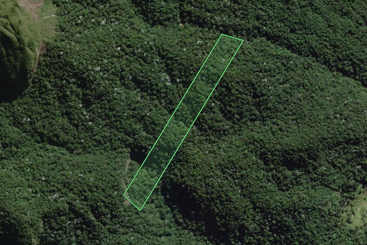Imagem de satélite do imóvel rural em Campos dos Goytacazes (RJ), com o contorno declarado no CAR desenhado por cima.