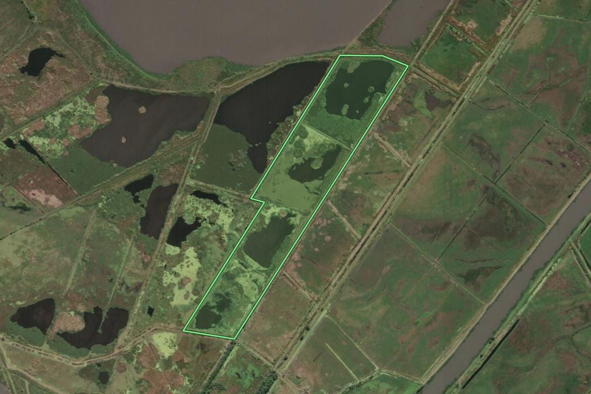 Imagem de satélite do imóvel rural em Campos dos Goytacazes (RJ), com o contorno declarado no CAR desenhado por cima.