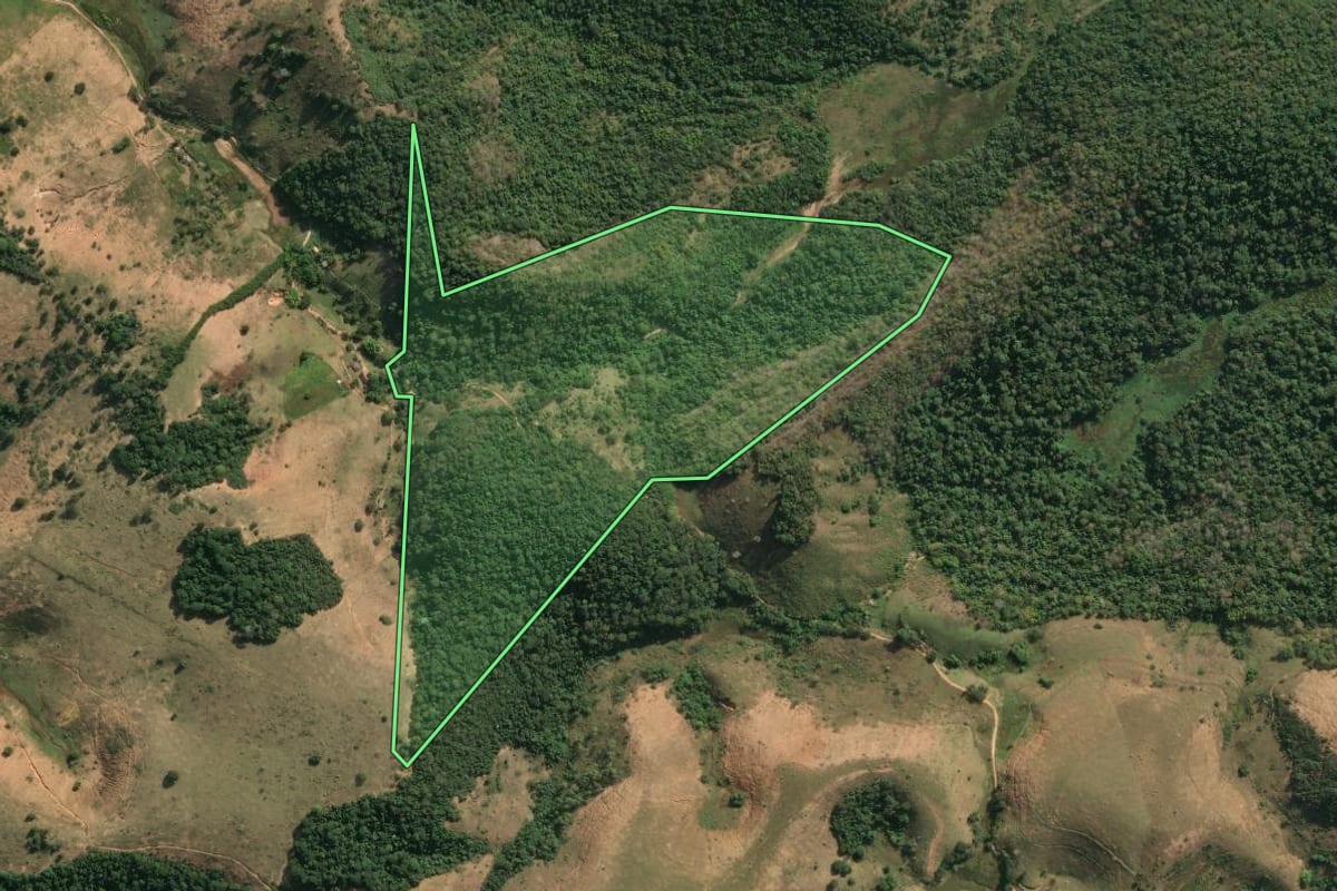 Imagem de satélite do imóvel rural em Cantagalo (RJ), com o contorno declarado no CAR desenhado por cima.