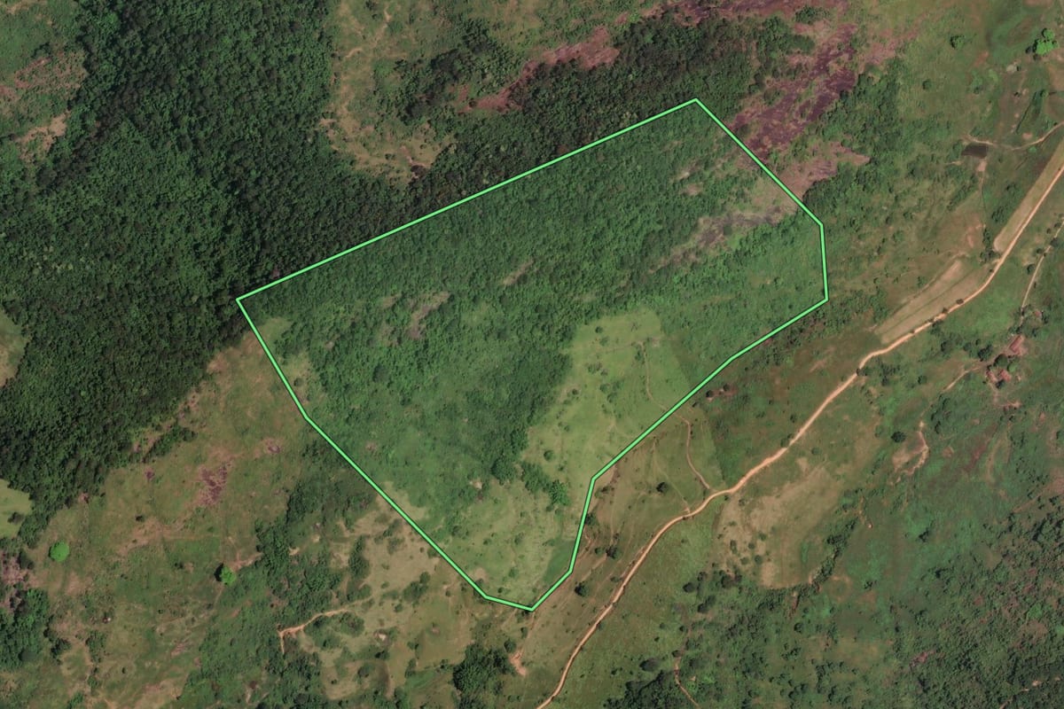 Imagem de satélite do imóvel rural em Cantagalo (RJ), com o contorno declarado no CAR desenhado por cima.