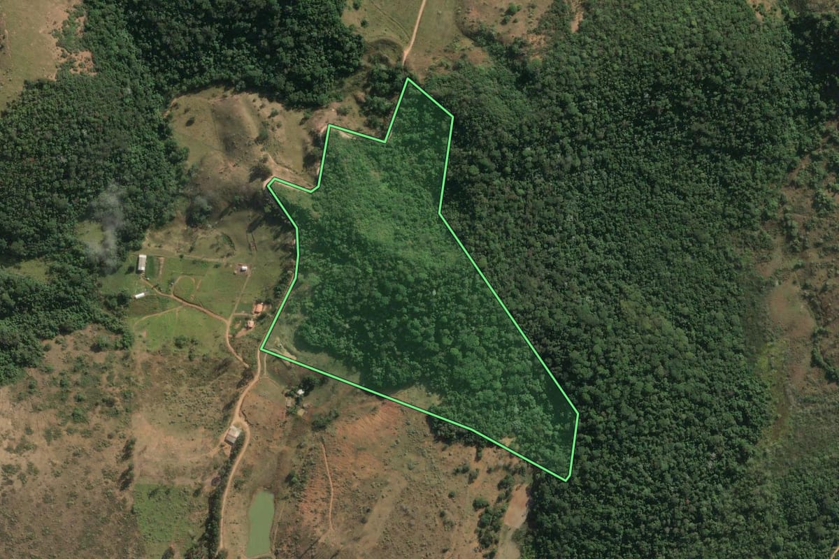 Imagem de satélite do imóvel rural em Cantagalo (RJ), com o contorno declarado no CAR desenhado por cima.