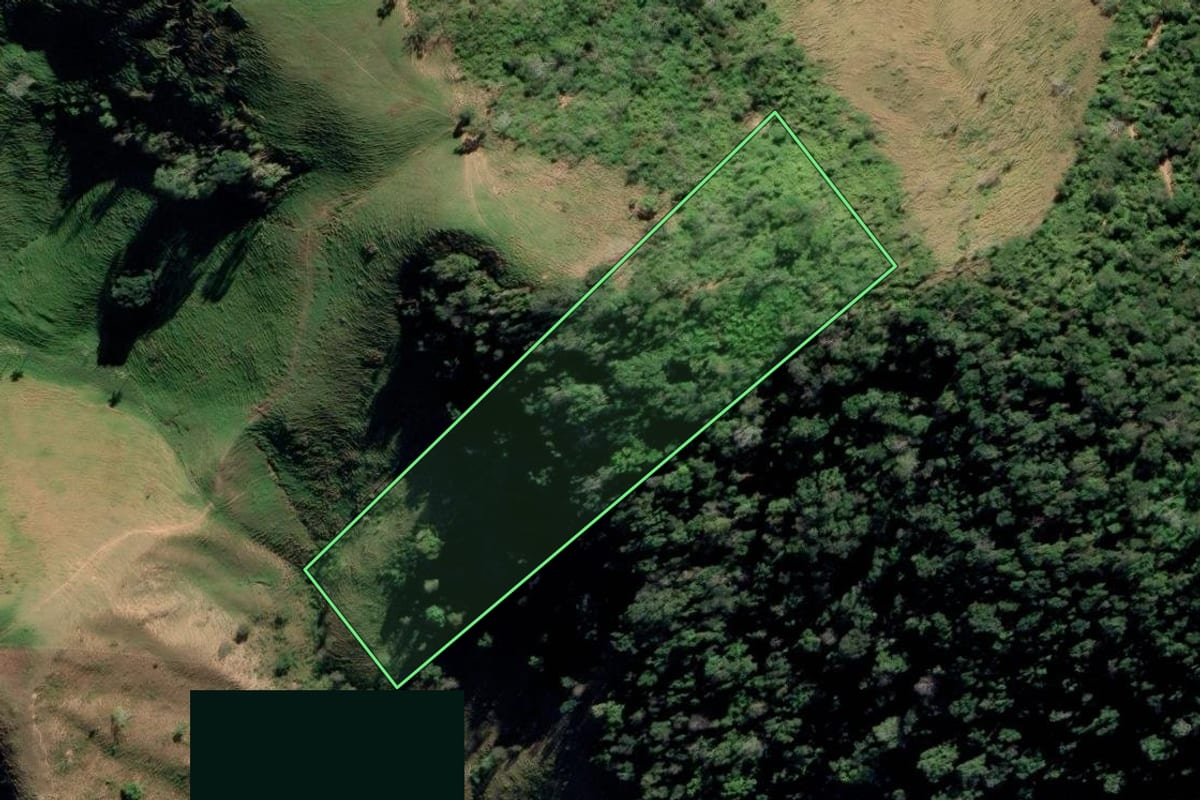 Imagem de satélite do imóvel rural em Cardoso Moreira (RJ), com o contorno declarado no CAR desenhado por cima.