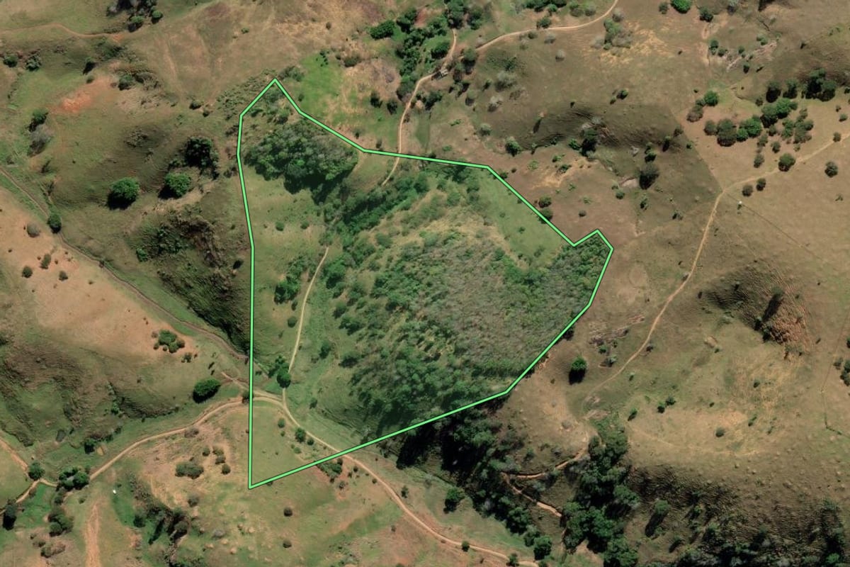 Imagem de satélite do imóvel rural em Cardoso Moreira (RJ), com o contorno declarado no CAR desenhado por cima.