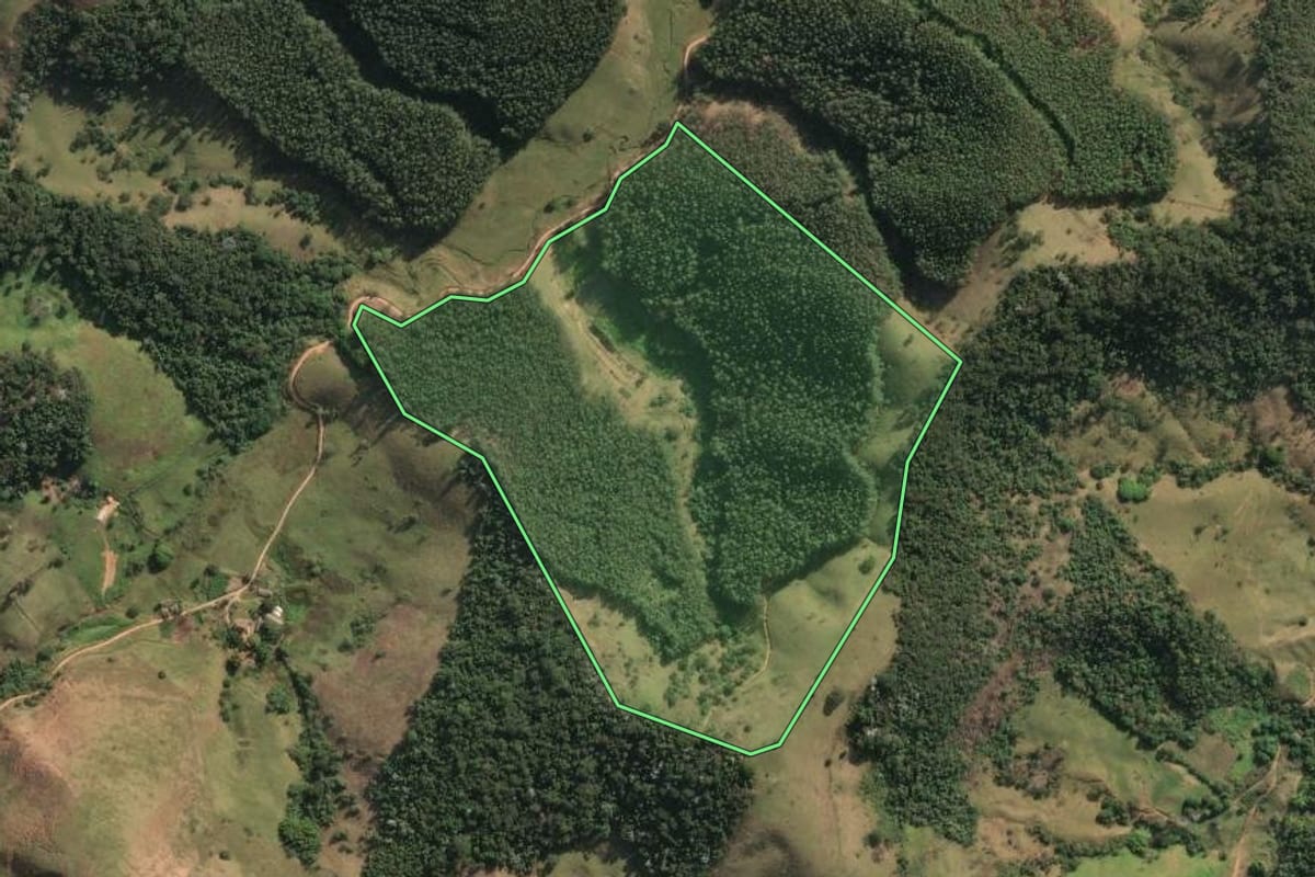 Imagem de satélite do imóvel rural em Cordeiro (RJ), com o contorno declarado no CAR desenhado por cima.