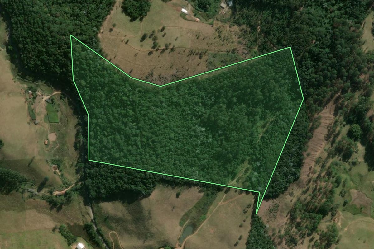 Imagem de satélite do imóvel rural em Duas Barras (RJ), com o contorno declarado no CAR desenhado por cima.