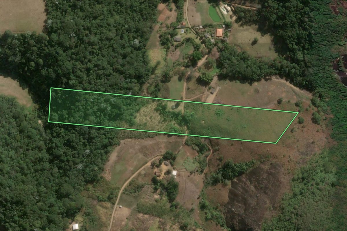 Imagem de satélite do imóvel rural em Duas Barras (RJ), com o contorno declarado no CAR desenhado por cima.