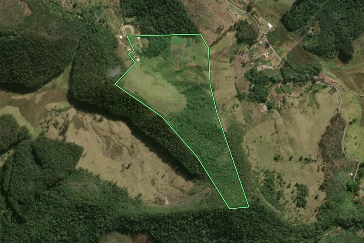 Imagem de satélite do imóvel rural em Duas Barras (RJ), com o contorno declarado no CAR desenhado por cima.