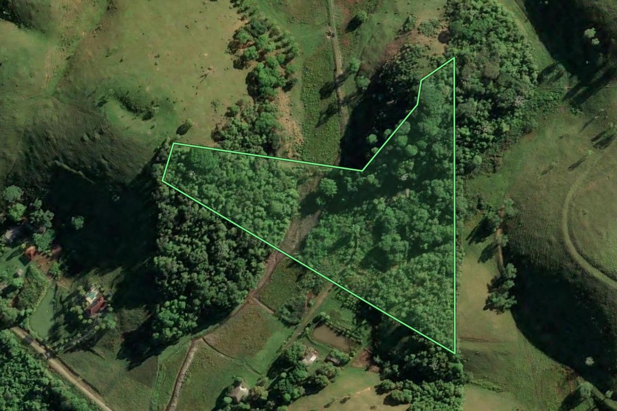 Imagem de satélite do imóvel rural em Duque de Caxias (RJ), com o contorno declarado no CAR desenhado por cima.