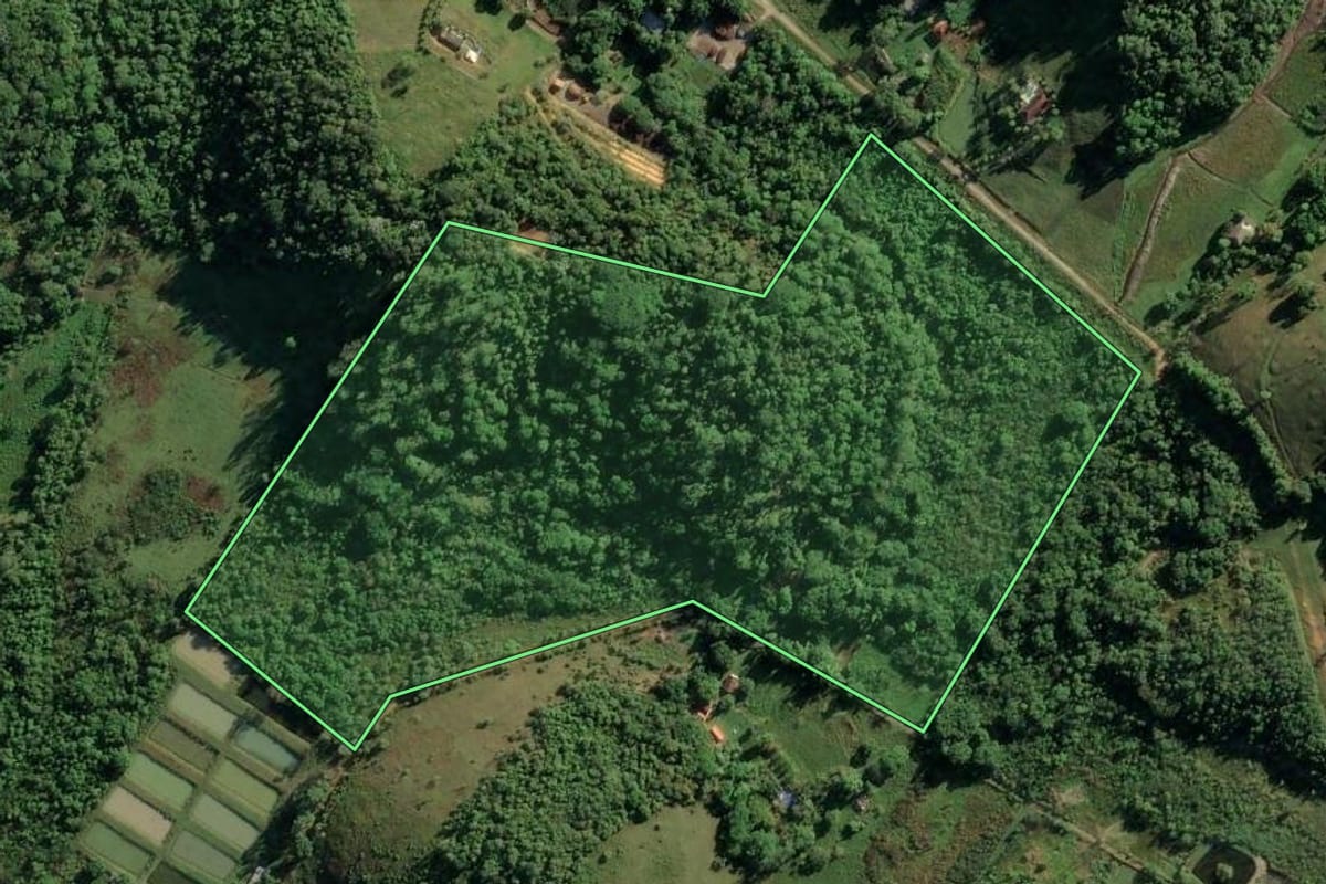 Imagem de satélite do imóvel rural em Duque de Caxias (RJ), com o contorno declarado no CAR desenhado por cima.